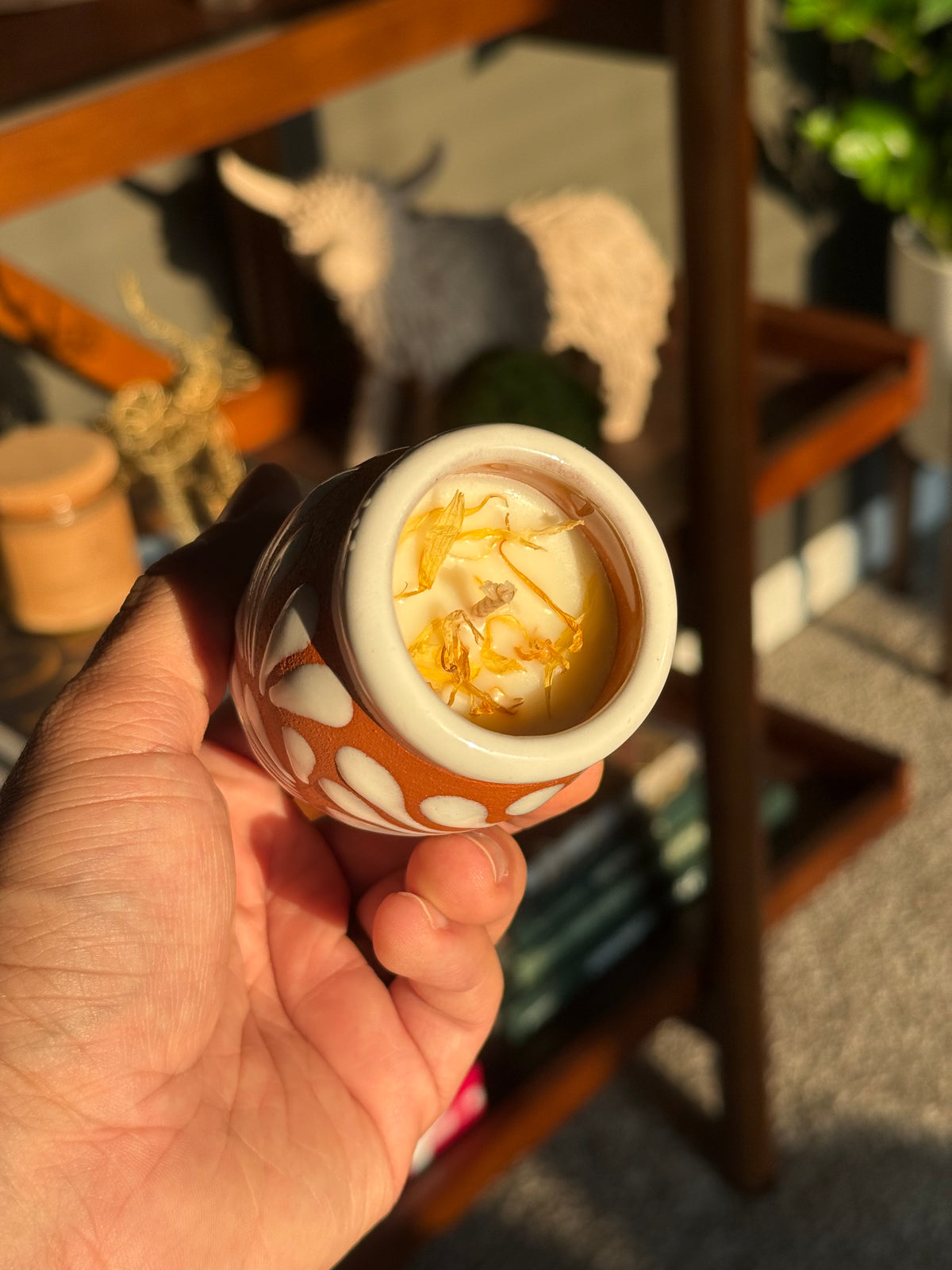 Hand holding a small terracotta colored ceramic Cempasúchil velita with a white floral pattern and white rim, photographed in warm natural light with a blurred bookshelf in the background. The inside of the velita is visible showing the wax, wick, and marigold petals.