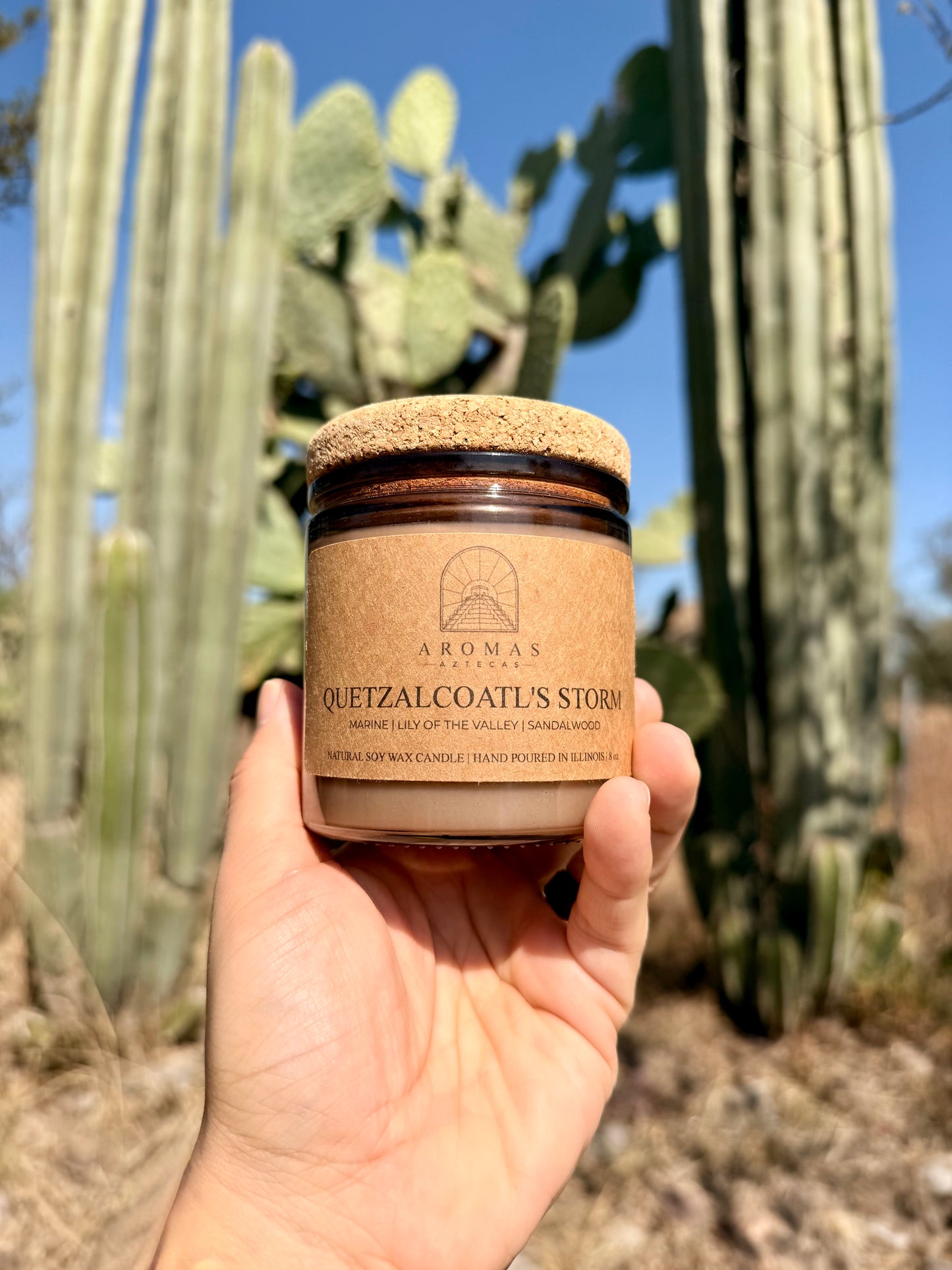 Aromas Aztecas Quetzalcoatl's Storm soy candle in an amber glass vessel with a cork lid held in front of a cactus.